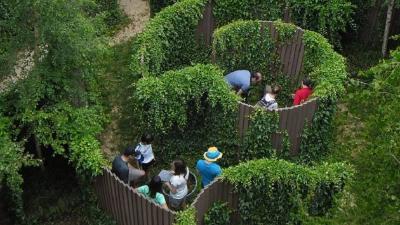 Visita guiada al Museo de Estelas en la Selva de Irati